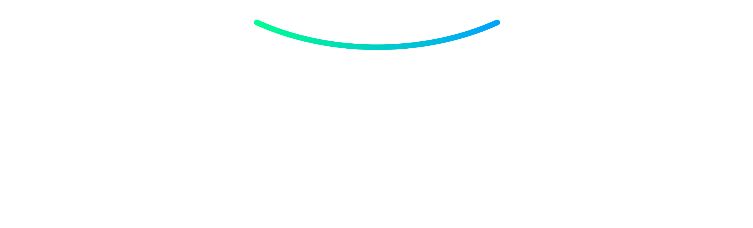 Streamlinz-ColorSwoosh copy Electrician Theme Logo